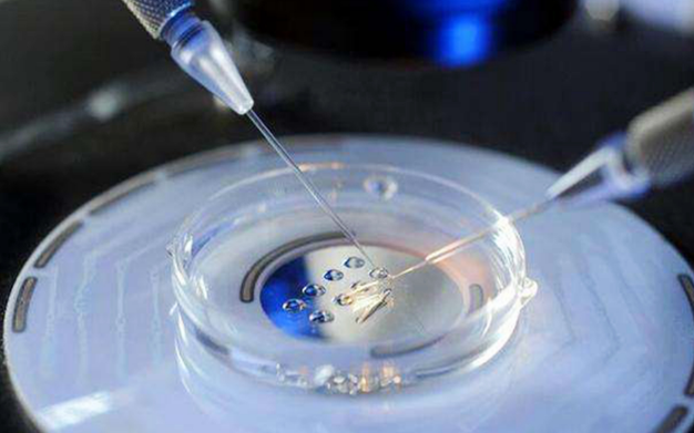 泰国试管婴儿a级胚胎成功率？多少钱