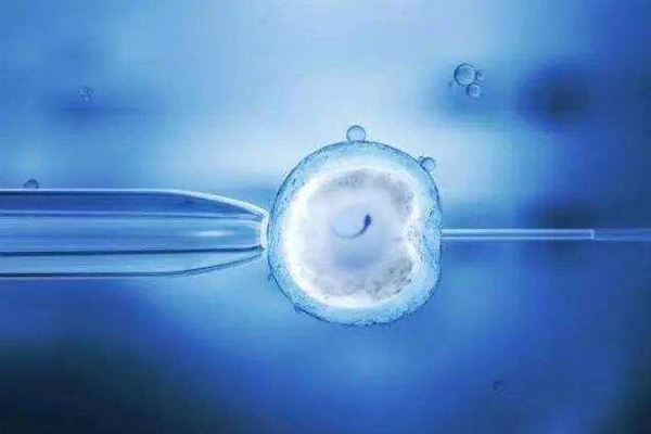 泰国试管婴儿是移植囊胚好还是胚胎好？