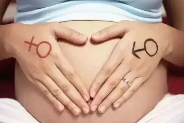 胚胎外观能分辨出胎儿的性别吗？